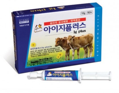 아이지플러스