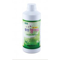 참신 향기로