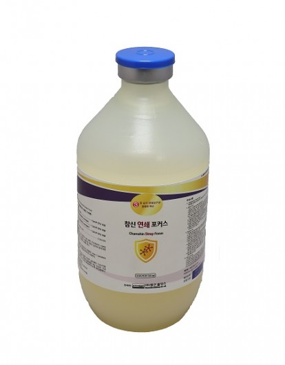 참신 연쇄 포커스